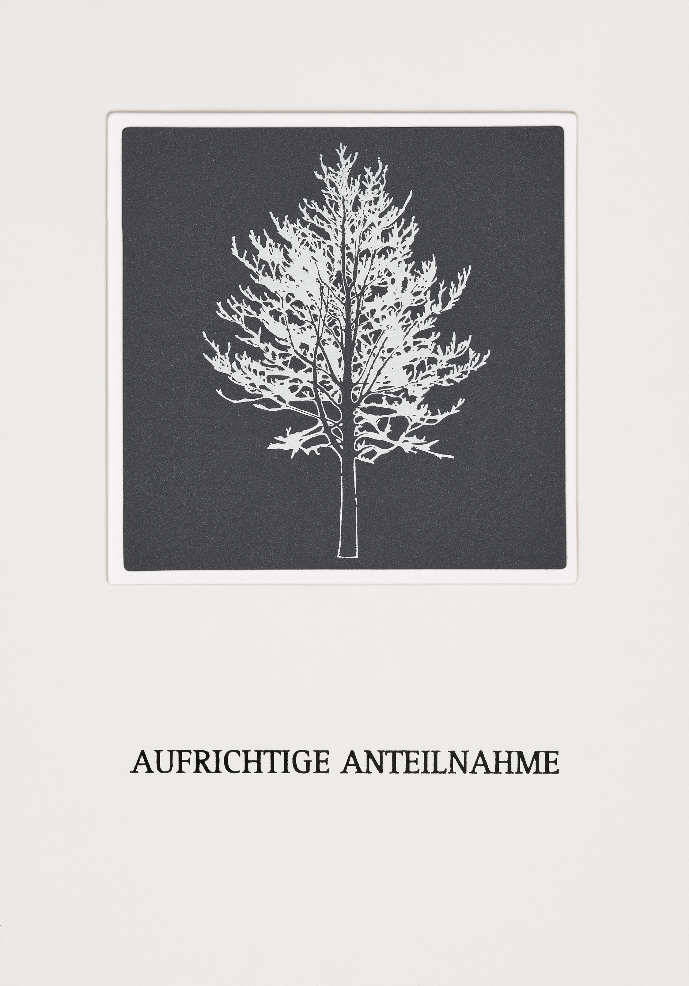Trauerkarte Passepartout „Baum“